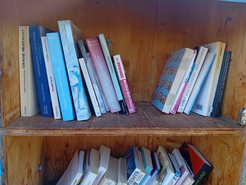 Shelf 1 — Seen 67 d ago